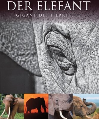 Alle Details zum Kinderbuch Abenteuer Wildnis. Der Elefant: Gigant des Tierreichs und ähnlichen Büchern