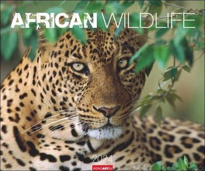 African Wildlife Kalender 2024. Die Tierwelt Afrikas in atemberaubenden Fotos festgehalten für einen großen Wandkalender. Foto-Kalender im Großformat 55x46 cm bei Amazon bestellen