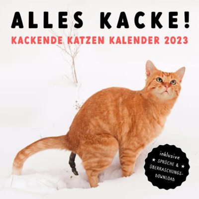 Alle Details zum Kinderbuch ALLES KATZE! Kackende Katzen Kalender 2023: Das lustige Geschenk für Männer, Frauen, Freunde und Katzenliebhaber zum Geburtstag oder Weihnachten - inkl. Sprüche & Überraschungs-Download und ähnlichen Büchern