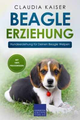 Beagle Erziehung: Hundeerziehung für Deinen Beagle Welpen bei Amazon bestellen