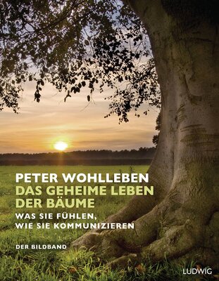 Das geheime Leben der Bäume: Was sie fühlen, wie sie kommunizieren. Der Bildband. Mit dem vollständigen Text der Originalausgabe bei Amazon bestellen