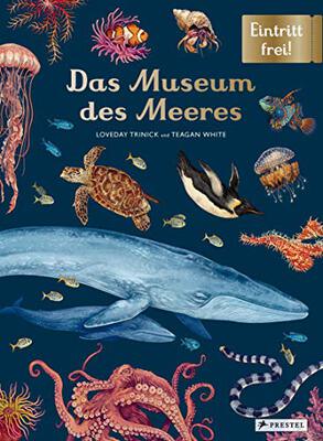Alle Details zum Kinderbuch Das Museum des Meeres: Eintritt frei! und ähnlichen Büchern