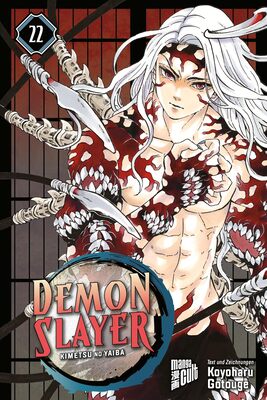 Alle Details zum Kinderbuch Demon Slayer - Kimetsu no Yaiba 22 und ähnlichen Büchern