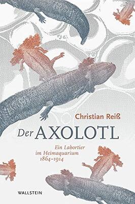 Alle Details zum Kinderbuch Der Axolotl: Ein Labortier im Heimaquarium 1864 -1914 und ähnlichen Büchern