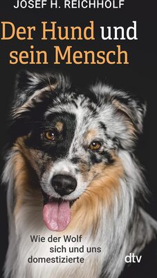 Alle Details zum Kinderbuch Der Hund und sein Mensch: Wie der Wolf sich und uns domestizierte und ähnlichen Büchern