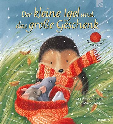 Alle Details zum Kinderbuch Der kleine Igel und das grosse Geschenk: Fühl doch mal! und ähnlichen Büchern