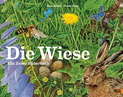 Alle Details zum Kinderbuch Die Wiese: Ein Zoom-Bilderbuch und ähnlichen Büchern