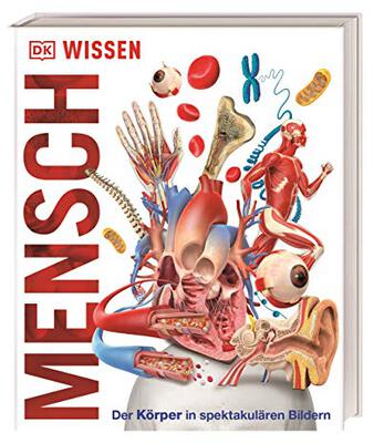 DK Wissen. Mensch: Der Körper in spektakulären Bildern. Für Kinder ab 8 Jahren bei Amazon bestellen