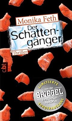 Alle Details zum Kinderbuch Der Schattengänger: Thriller (Die Jette-Thriller, Band 4) und ähnlichen Büchern