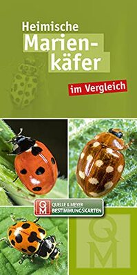 Alle Details zum Kinderbuch Heimische Marienkäfer: im Vergleich (Quelle & Meyer Bestimmungskarten) und ähnlichen Büchern
