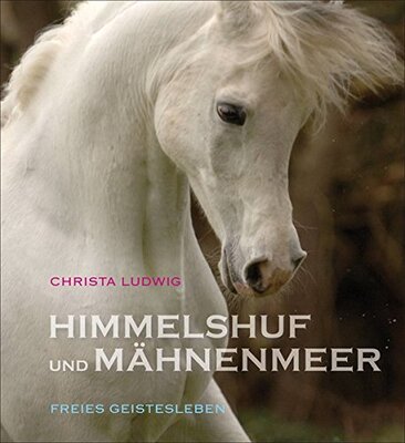 Himmelshuf und Mähnenmeer: Drei Pferde-Fotogeschichten. bei Amazon bestellen