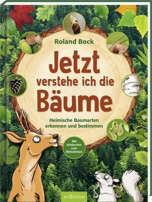 Alle Details zum Kinderbuch Jetzt verstehe ich die Bäume: Heimische Baumarten erkennen und bestimmen – mit Infokarten zum Mitnehmen | Kindersachbuch zu den 14 wichtigsten Laub- und Nadelbäumen ab 6 Jahren und ähnlichen Büchern