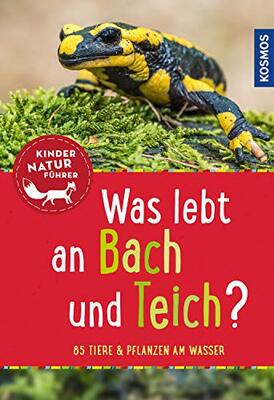 Alle Details zum Kinderbuch Was lebt an Bach und Teich? Kindernaturführer: 85 Tiere und Pflanzen am Wasser und ähnlichen Büchern