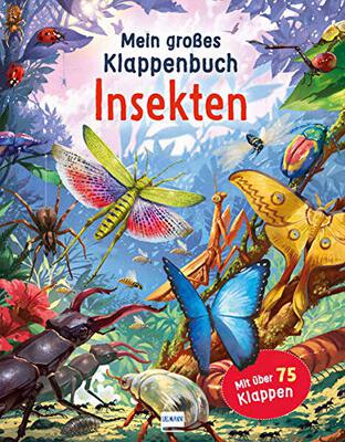 Alle Details zum Kinderbuch Klappenbuch - Insekten: mit über 75 Klappen und spannenden Sachinformationen und ähnlichen Büchern