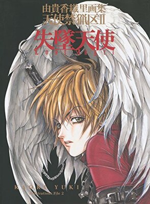 Lost Angel Artbook: Band 2 (Angel Sanctuary) bei Amazon bestellen