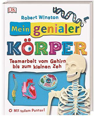 Alle Details zum Kinderbuch Mein genialer Körper: Teamarbeit vom Gehirn bis zum kleinen Zeh. Mit tollem Poster! und ähnlichen Büchern