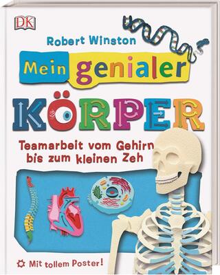 Alle Details zum Kinderbuch Mein genialer Körper: Teamarbeit vom Gehirn bis zum kleinen Zeh. Mit tollem Poster! und ähnlichen Büchern