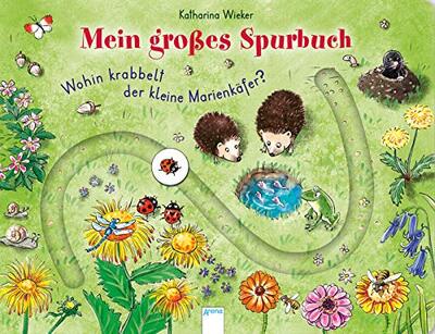 Alle Details zum Kinderbuch Wohin krabbelt der kleine Marienkäfer?: Mein großes Spurbuch und ähnlichen Büchern