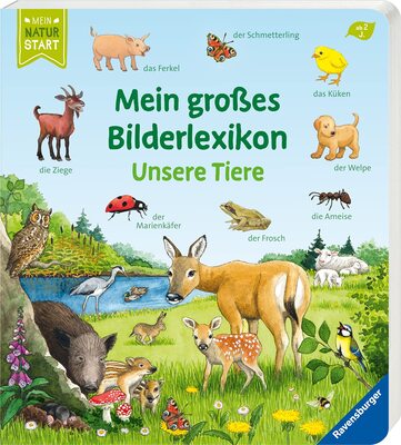 Alle Details zum Kinderbuch Mein großes Bilderlexikon: Unsere Tiere (Mein Naturstart) und ähnlichen Büchern