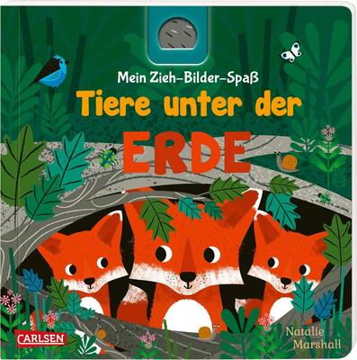 Alle Details zum Kinderbuch Mein Zieh-Bilder-Spaß: Tiere unter der Erde: Ein Beschäftigungsbuch mit Seiten zum Ausziehen ab 2 Jahren und ähnlichen Büchern