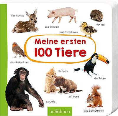 Alle Details zum Kinderbuch Meine ersten 100 Tiere: Foto-Wörterbuch | Mit stabilen Pappeseiten, fördert die Sprachentwicklung für Kinder ab 12 Monaten und ähnlichen Büchern