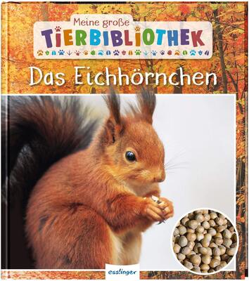 Alle Details zum Kinderbuch Meine große Tierbibliothek: Das Eichhörnchen: Sachbuch für Vorschule & Grundschule und ähnlichen Büchern