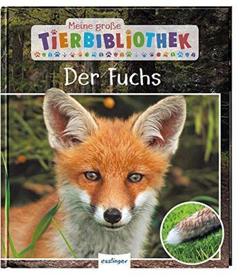 Alle Details zum Kinderbuch Meine große Tierbibliothek: Der Fuchs: Sachbuch für Vorschule & Grundschule und ähnlichen Büchern