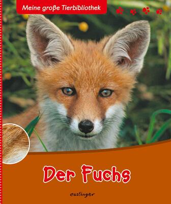 Alle Details zum Kinderbuch Meine große Tierbibliothek: Der Fuchs: Sachbuch für Vorschule & Grundschule und ähnlichen Büchern