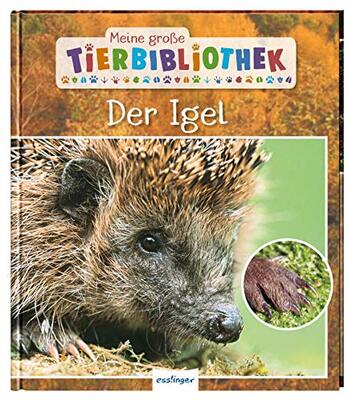 Alle Details zum Kinderbuch Meine große Tierbibliothek: Der Igel: Sachbuch für Vorschule & Grundschule und ähnlichen Büchern