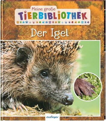 Alle Details zum Kinderbuch Meine große Tierbibliothek: Der Igel: Sachbuch für Vorschule & Grundschule und ähnlichen Büchern