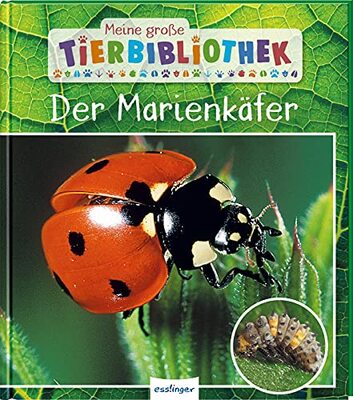 Alle Details zum Kinderbuch Meine große Tierbibliothek: Der Marienkäfer: Sachbuch für Vorschule & Grundschule und ähnlichen Büchern