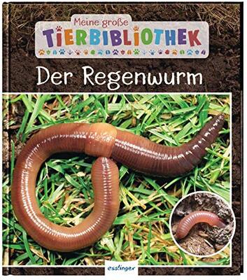 Alle Details zum Kinderbuch Meine große Tierbibliothek: Der Regenwurm: Sachbuch für Vorschule & Grundschule und ähnlichen Büchern