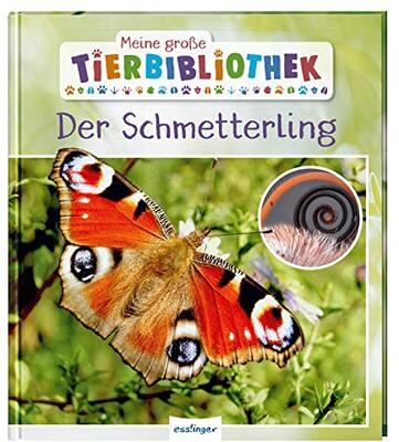 Alle Details zum Kinderbuch Meine große Tierbibliothek: Der Schmetterling: Sachbuch für Vorschule & Grundschule und ähnlichen Büchern