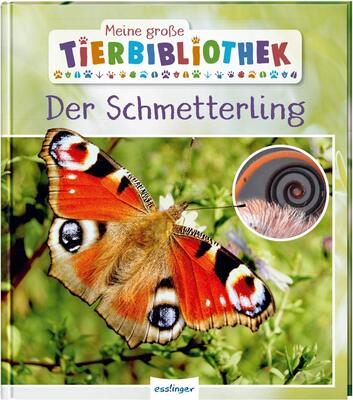 Alle Details zum Kinderbuch Meine große Tierbibliothek: Der Schmetterling: Sachbuch für Vorschule & Grundschule und ähnlichen Büchern