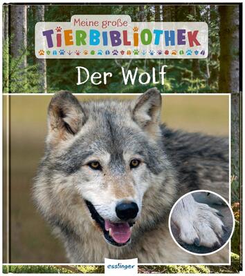 Alle Details zum Kinderbuch Meine große Tierbibliothek: Der Wolf: Sachbuch für Vorschule & Grundschule und ähnlichen Büchern