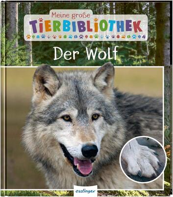 Alle Details zum Kinderbuch Meine große Tierbibliothek: Der Wolf: Sachbuch für Vorschule & Grundschule und ähnlichen Büchern