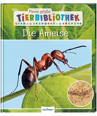 Alle Details zum Kinderbuch Meine große Tierbibliothek: Die Ameise: Sachbuch für Vorschule & Grundschule und ähnlichen Büchern