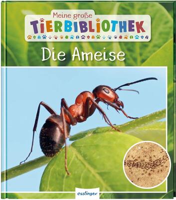 Alle Details zum Kinderbuch Meine große Tierbibliothek: Die Ameise: Sachbuch für Vorschule & Grundschule und ähnlichen Büchern