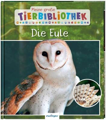 Alle Details zum Kinderbuch Meine große Tierbibliothek: Die Eule: Sachbuch für Vorschule & Grundschule und ähnlichen Büchern