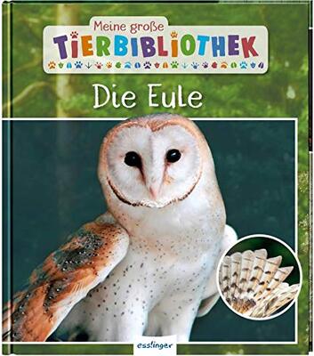 Alle Details zum Kinderbuch Meine große Tierbibliothek: Die Eule: Sachbuch für Vorschule & Grundschule und ähnlichen Büchern