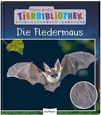 Alle Details zum Kinderbuch Meine große Tierbibliothek: Die Fledermaus: Sachbuch für Vorschule & Grundschule und ähnlichen Büchern