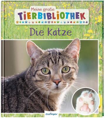 Alle Details zum Kinderbuch Meine große Tierbibliothek: Die Katze: Sachbuch für Vorschule & Grundschule und ähnlichen Büchern