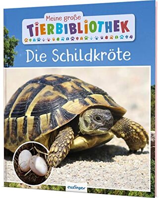 Alle Details zum Kinderbuch Meine große Tierbibliothek: Die Schildkröte: Sachbuch für Vorschule & Grundschule und ähnlichen Büchern