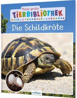 Alle Details zum Kinderbuch Meine große Tierbibliothek: Die Schildkröte: Sachbuch für Vorschule & Grundschule und ähnlichen Büchern