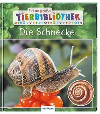 Alle Details zum Kinderbuch Meine große Tierbibliothek: Die Schnecke: Sachbuch für Vorschule & Grundschule und ähnlichen Büchern