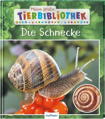 Alle Details zum Kinderbuch Meine große Tierbibliothek: Die Schnecke: Sachbuch für Vorschule & Grundschule und ähnlichen Büchern