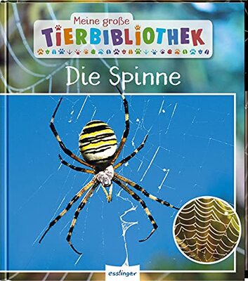 Alle Details zum Kinderbuch Meine große Tierbibliothek: Die Spinne: Sachbuch für Vorschule & Grundschule und ähnlichen Büchern