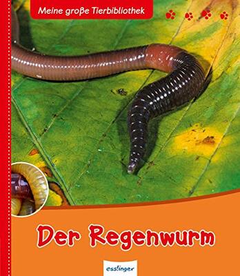 Alle Details zum Kinderbuch Meine große Tierbibliothek: Der Regenwurm und ähnlichen Büchern