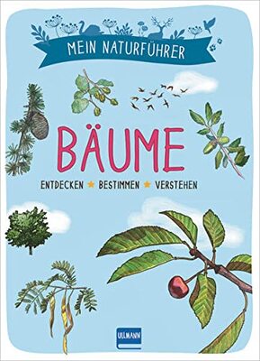 Alle Details zum Kinderbuch Naturführer - Bäume: Erkennen · Erforschen · Verstehen und ähnlichen Büchern