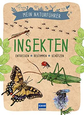 Alle Details zum Kinderbuch Naturführer - Insekten: Entdecken · bestimmen · schützen und ähnlichen Büchern